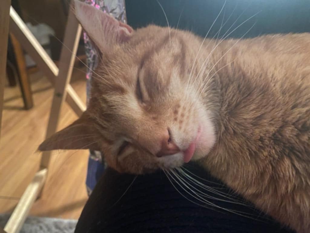 Kylo giving a silly face.